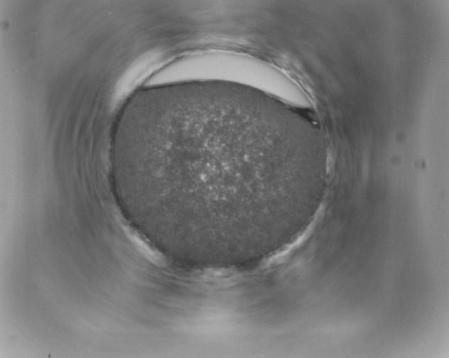 X0000088840101200707051457