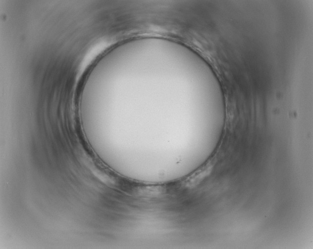 X0000088840102200707051457