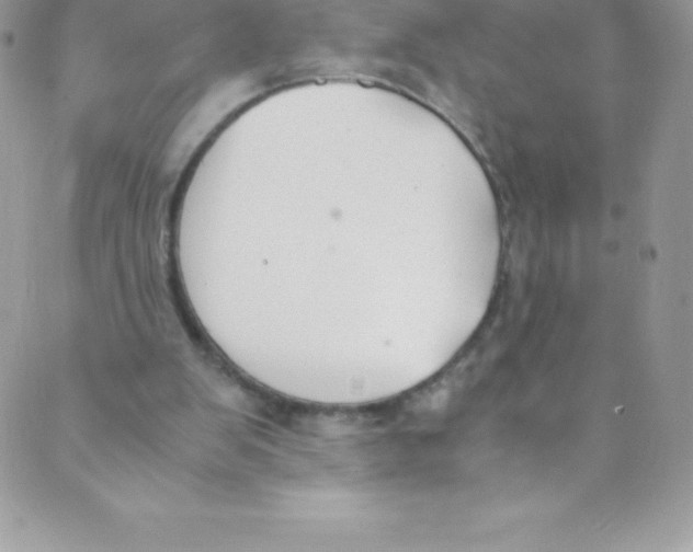 X0000088840103200707051457