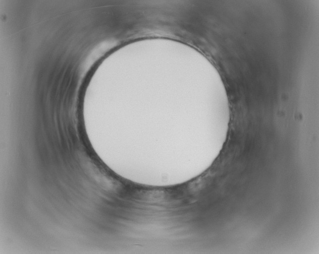 X0000088840104200707051457