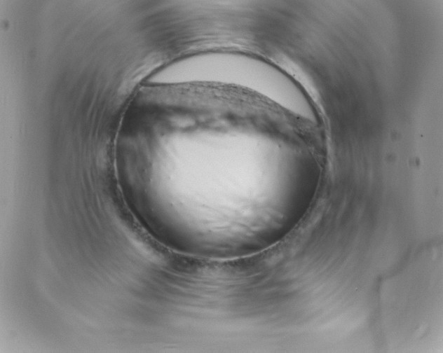 X0000088840105200707051457