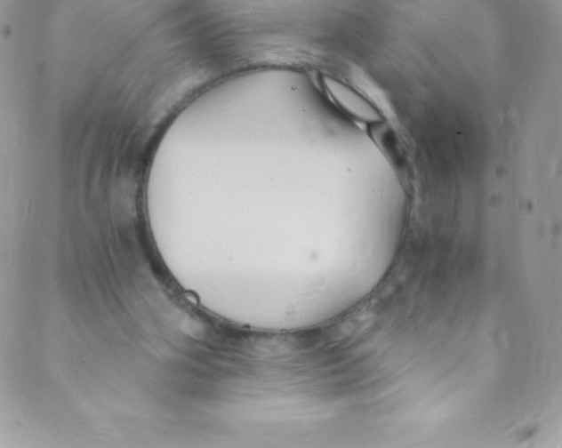 X0000088840106200707051457