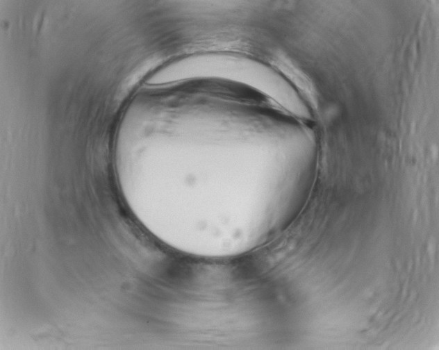 X0000088840107200707051457