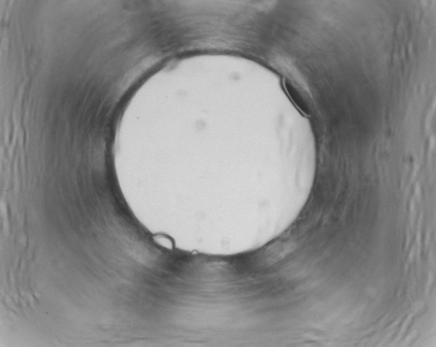 X0000088840108200707051457