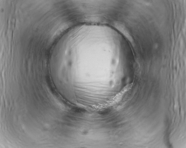 X0000088840109200707051457