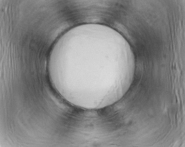 X0000088840110200707051457