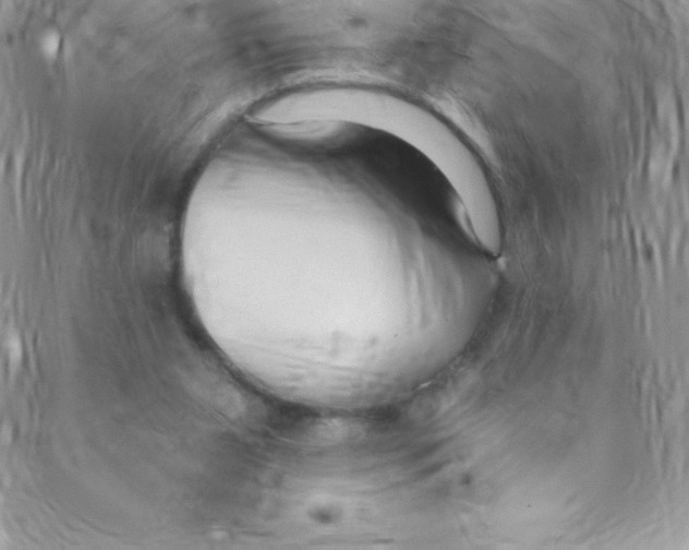 X0000088840111200707051457