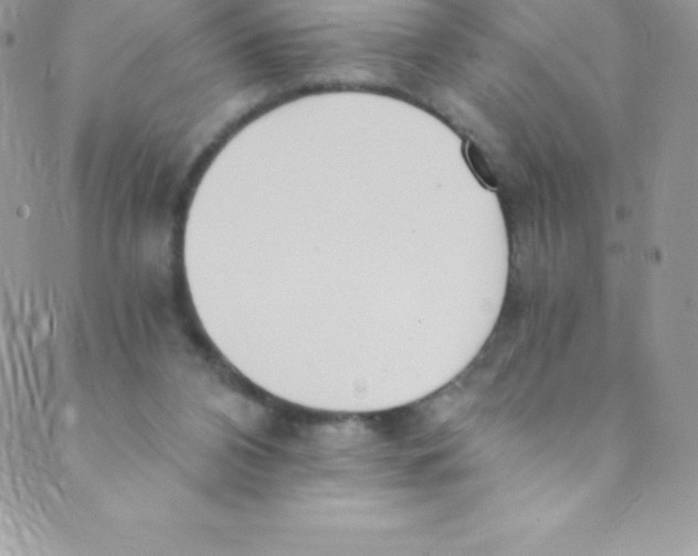 X0000088840112200707051457