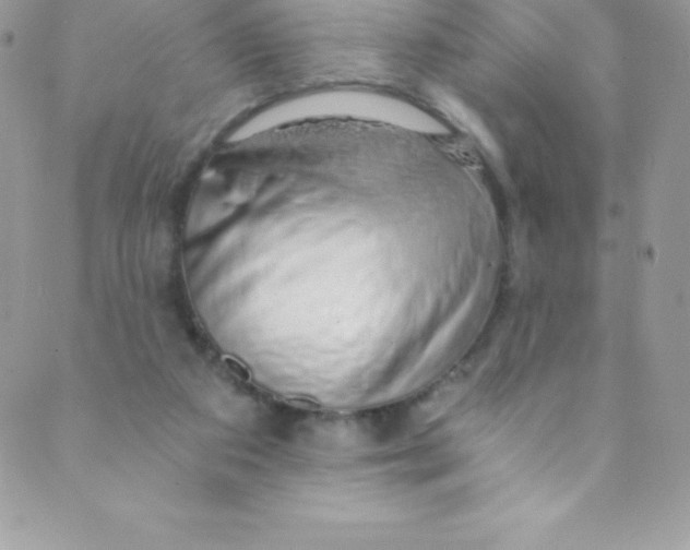 X0000088840113200707051457