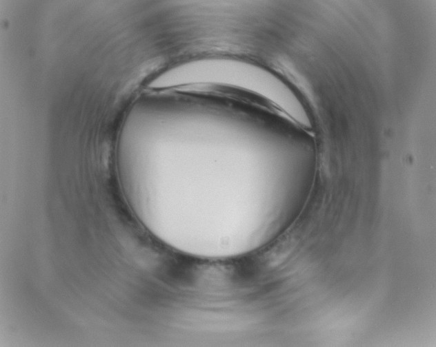 X0000088840115200707051457