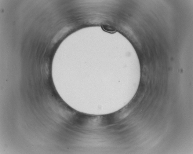 X0000088840116200707051457