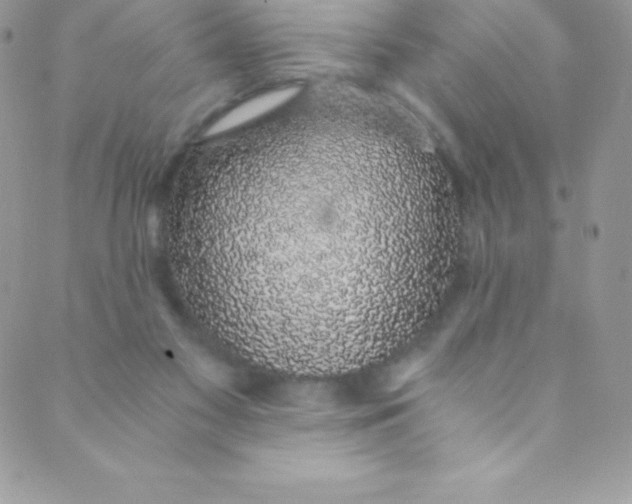 X0000088840117200707051457