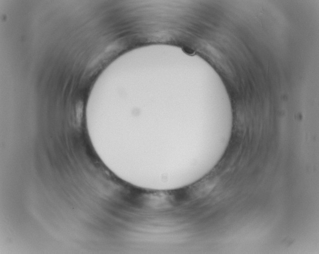 X0000088840118200707051457