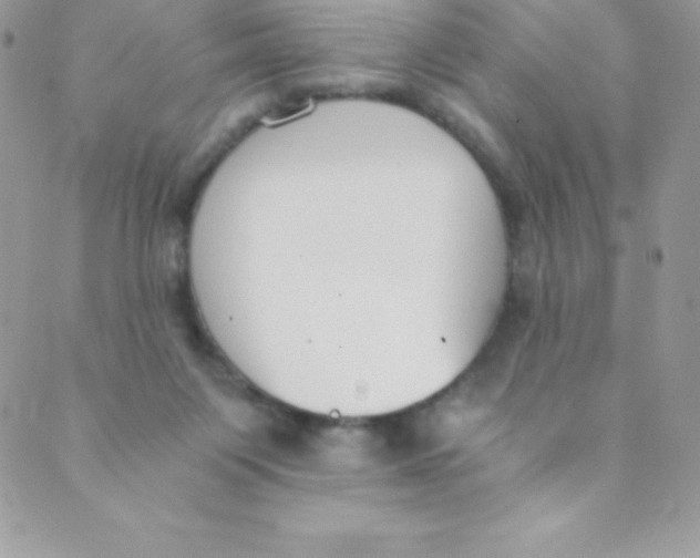 X0000088840119200707051457