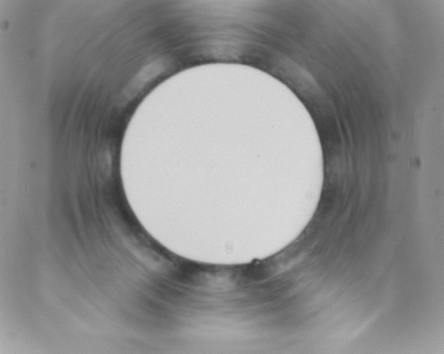 X0000088840120200707051457