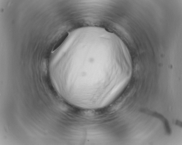 X0000088840121200707051457