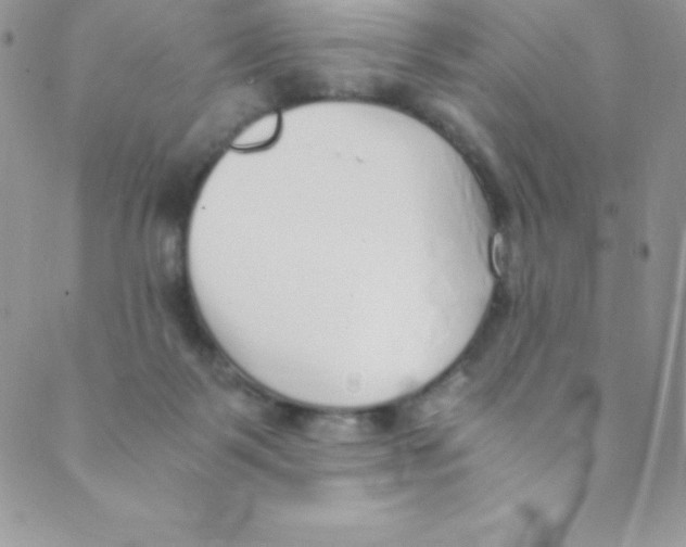 X0000088840123200707051457