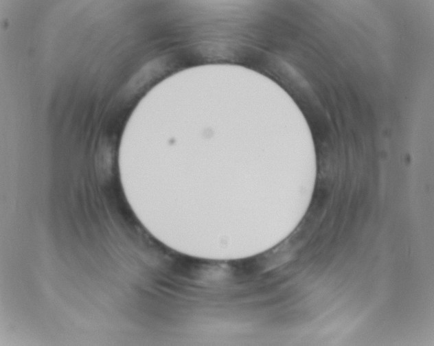 X0000088840124200707051457