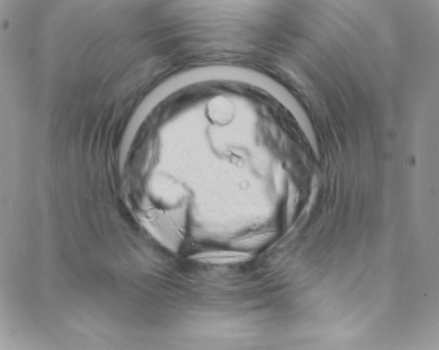 X0000088840125200707051457