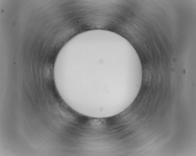 X0000088840126200707051457