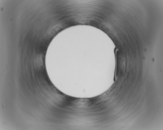 X0000088840128200707051457