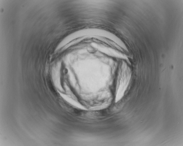 X0000088840129200707051457