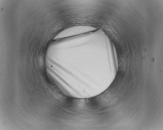 X0000088840131200707051457