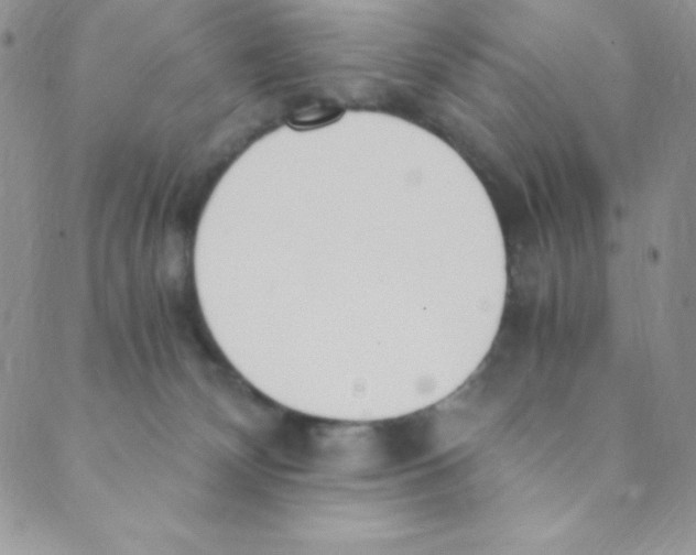 X0000088840132200707051457