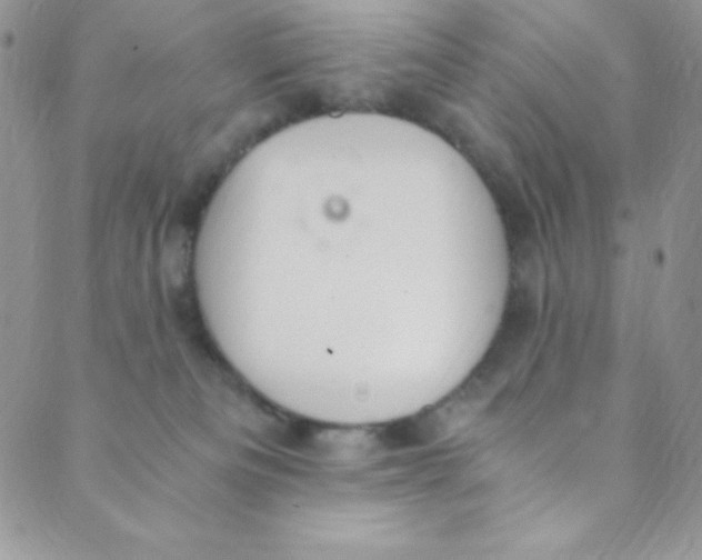 X0000088840133200707051457