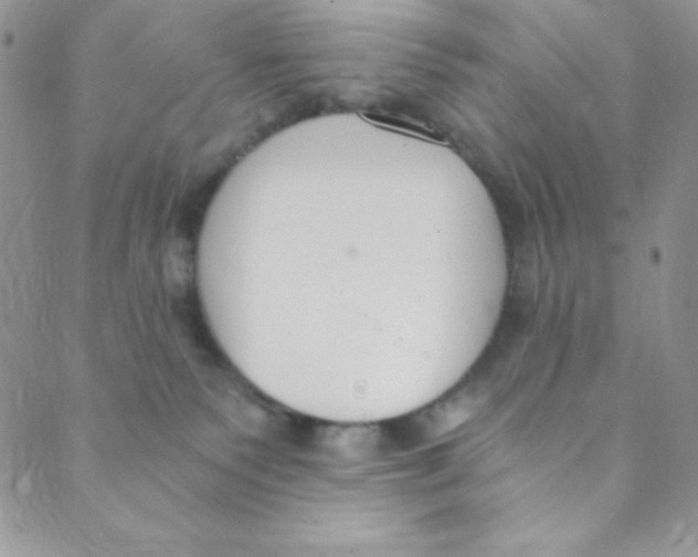 X0000088840135200707051457