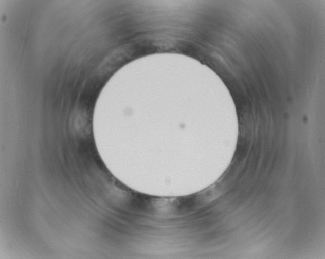 X0000088840136200707051457