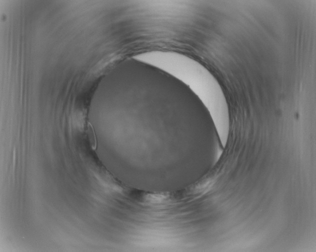 X0000088840139200707051457