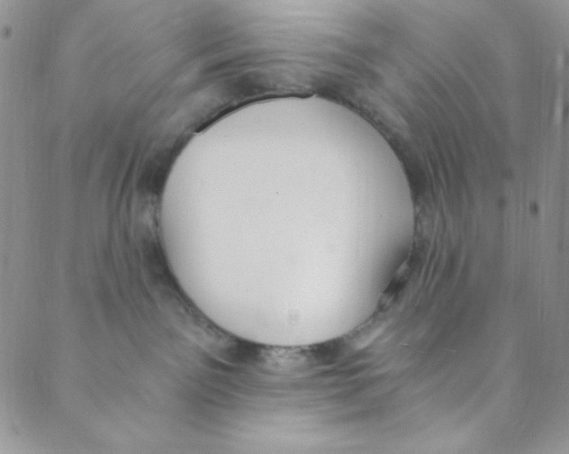 X0000088840141200707051457