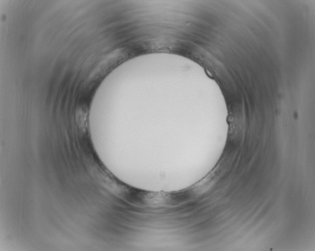 X0000088840142200707051457