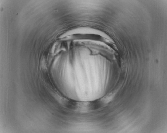 X0000088840143200707051457