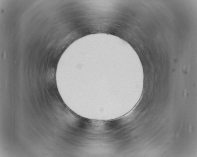 X0000088840144200707051457