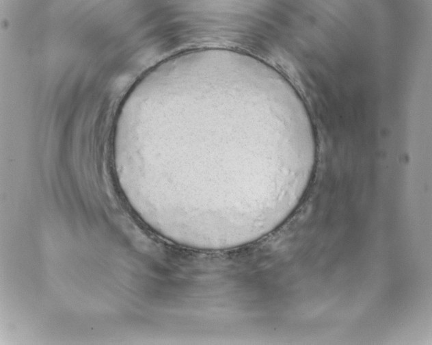 X0000088840145200707051456