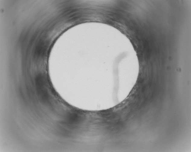 X0000088840146200707051456