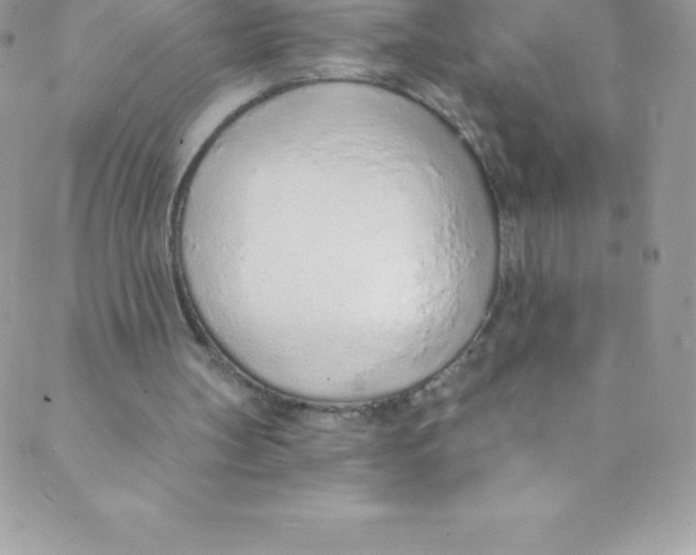 X0000088840147200707051456