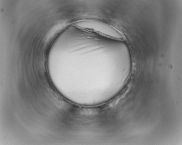 X0000088840149200707051456