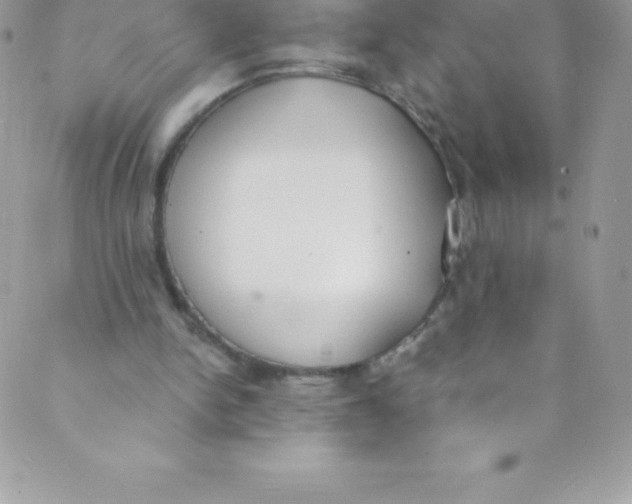 X0000088840150200707051456