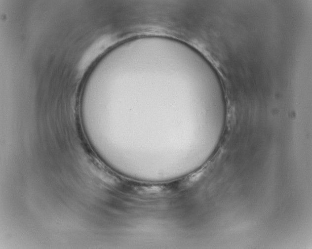 X0000088840151200707051456