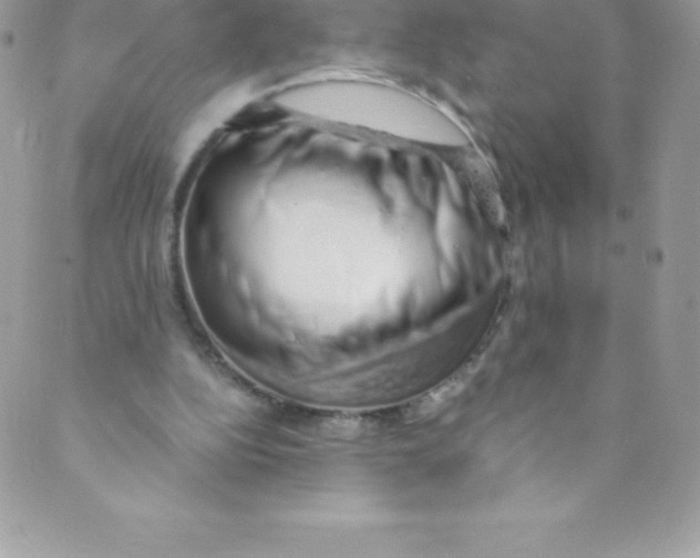 X0000088840152200707051456