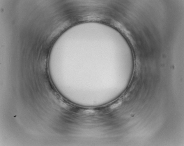 X0000088840153200707051456