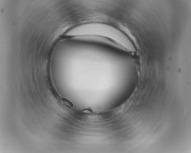 X0000088840154200707051456