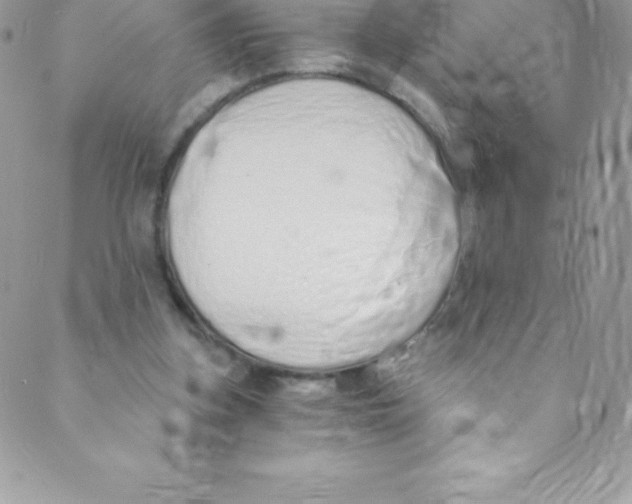 X0000088840155200707051456