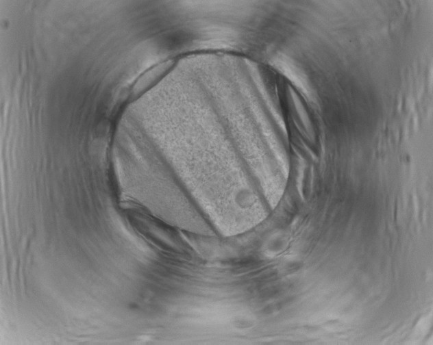 X0000088840156200707051456