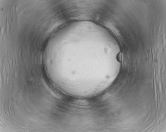 X0000088840157200707051456