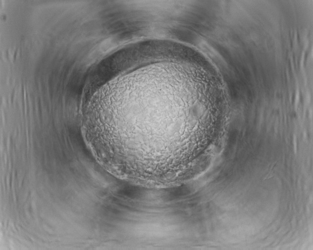 X0000088840158200707051456