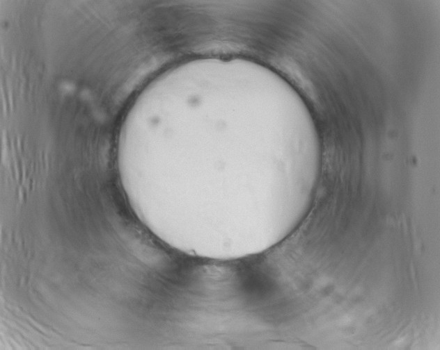 X0000088840159200707051456